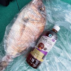 明石でタイラバ