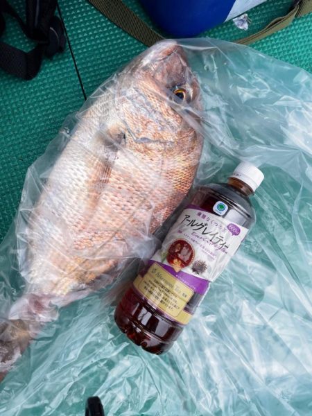 明石でタイラバ