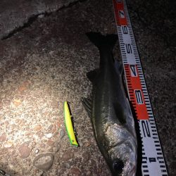 型は上がらない