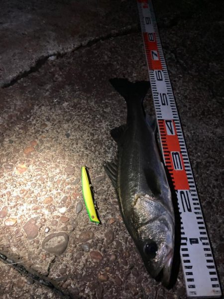 型は上がらない