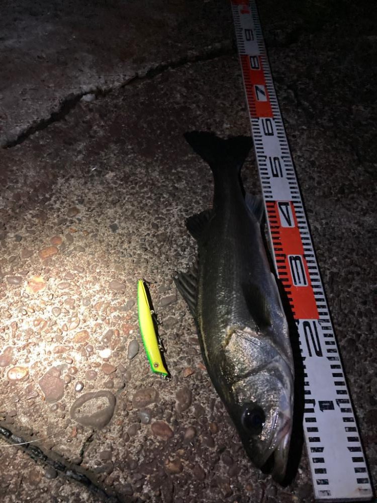 型は上がらない