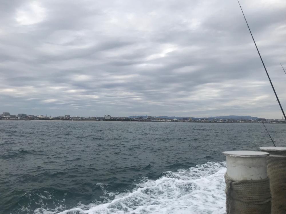 カワハギ&ショウサイフグわ