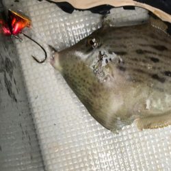 富士山てんやで一つテンヤ爆釣！