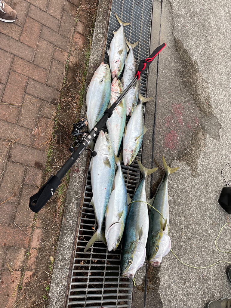 家から5分でメジロ