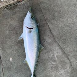 ショアジギング