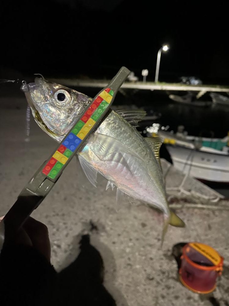 アジングたのしい〜