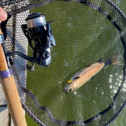 釣れ釣れ　亀岡　プール