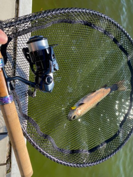 釣れ釣れ　亀岡　プール