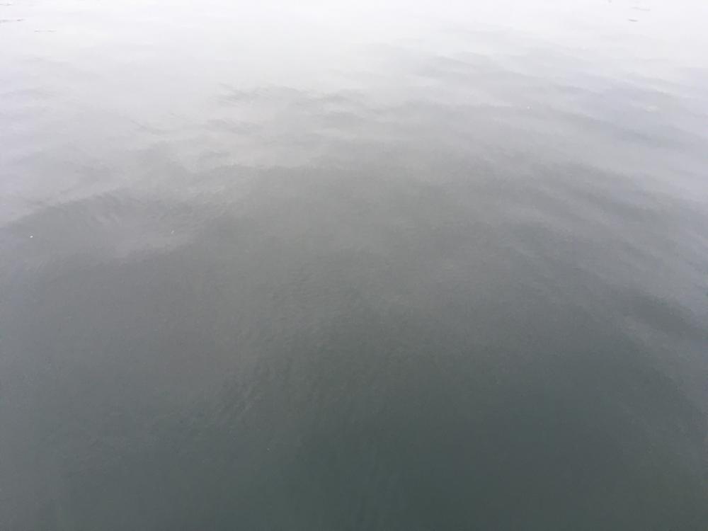 そろそろ終盤か