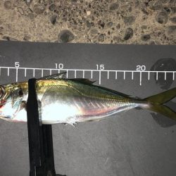 爆風の中でも宵姫爽なら何とかなる！