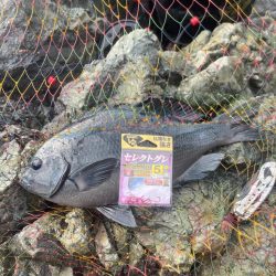 GFG大分県支部第21回青年部懇親釣り大会