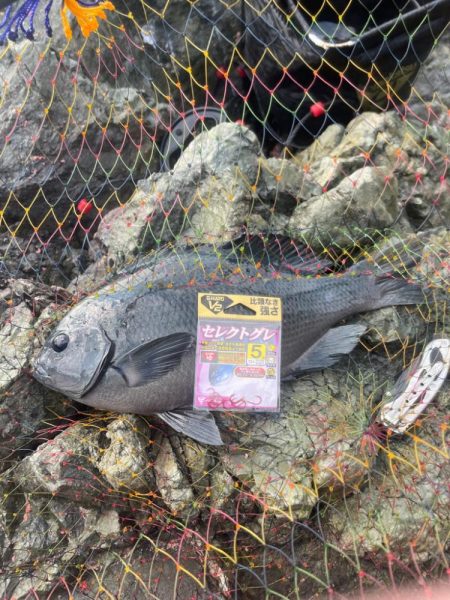 GFG大分県支部第21回青年部懇親釣り大会