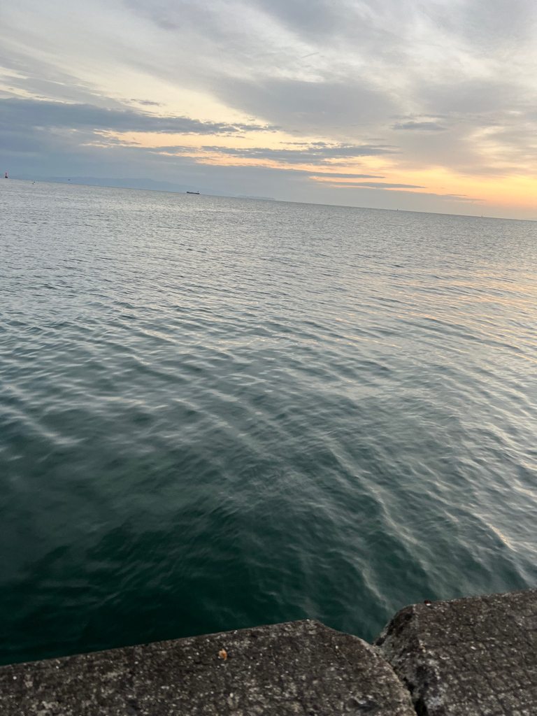 丸の海(丸呑み)