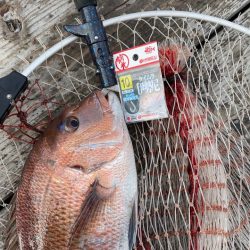 朝イチは超高活性！