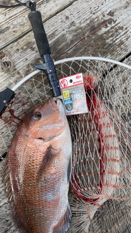 朝イチは超高活性！