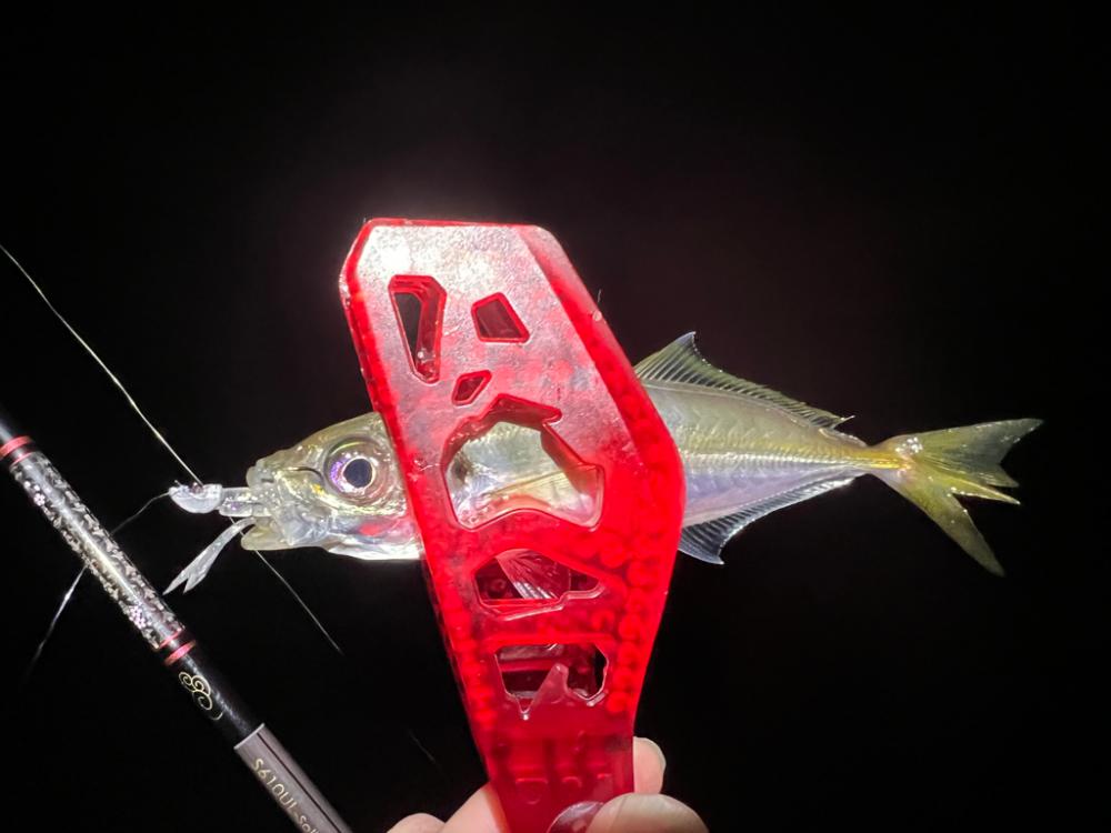 鯵を探して三千里Vel.13 淡輪漁港