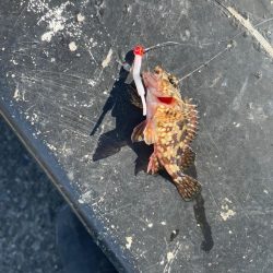 短時間ライトゲーム