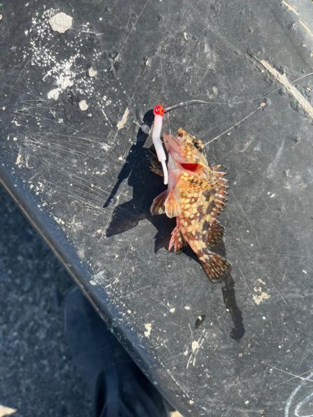 短時間ライトゲーム