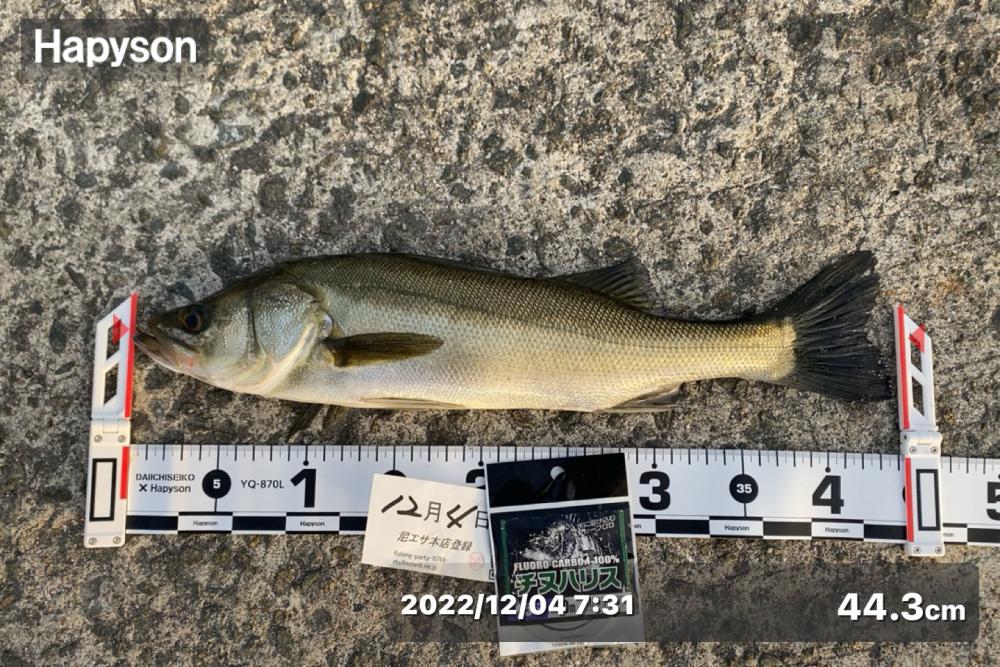 気温が下がり水温も下がり