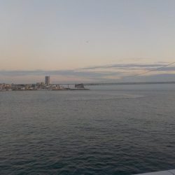 オンリー・ワン