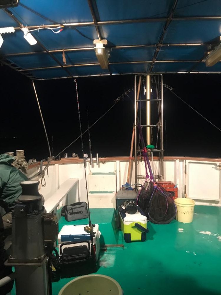 ショウサイフグ