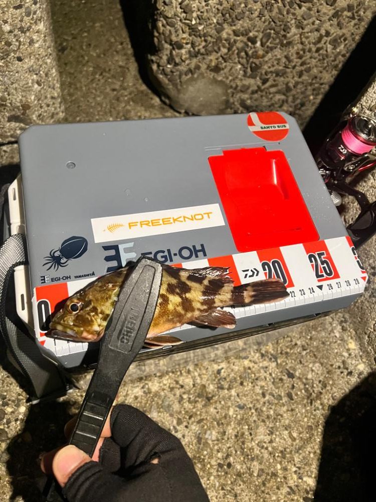 ガシリング絶好調