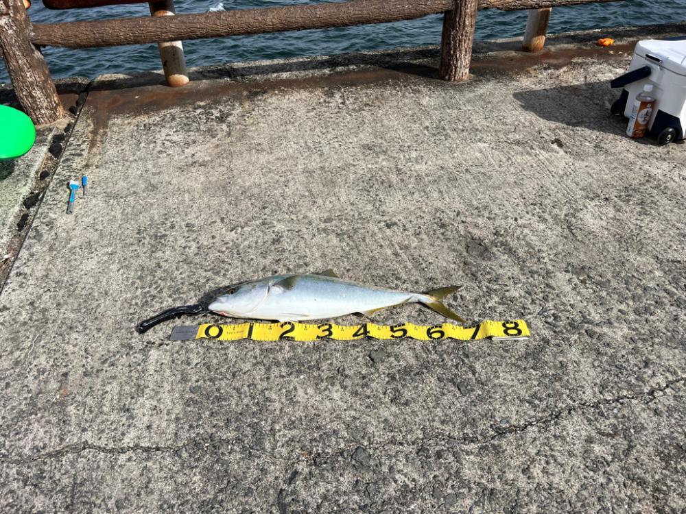 帰り支度をしていると