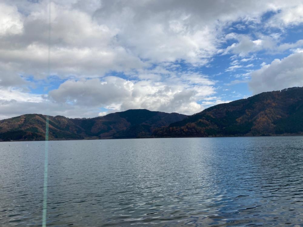 厳しい季節でもウィードがあれば