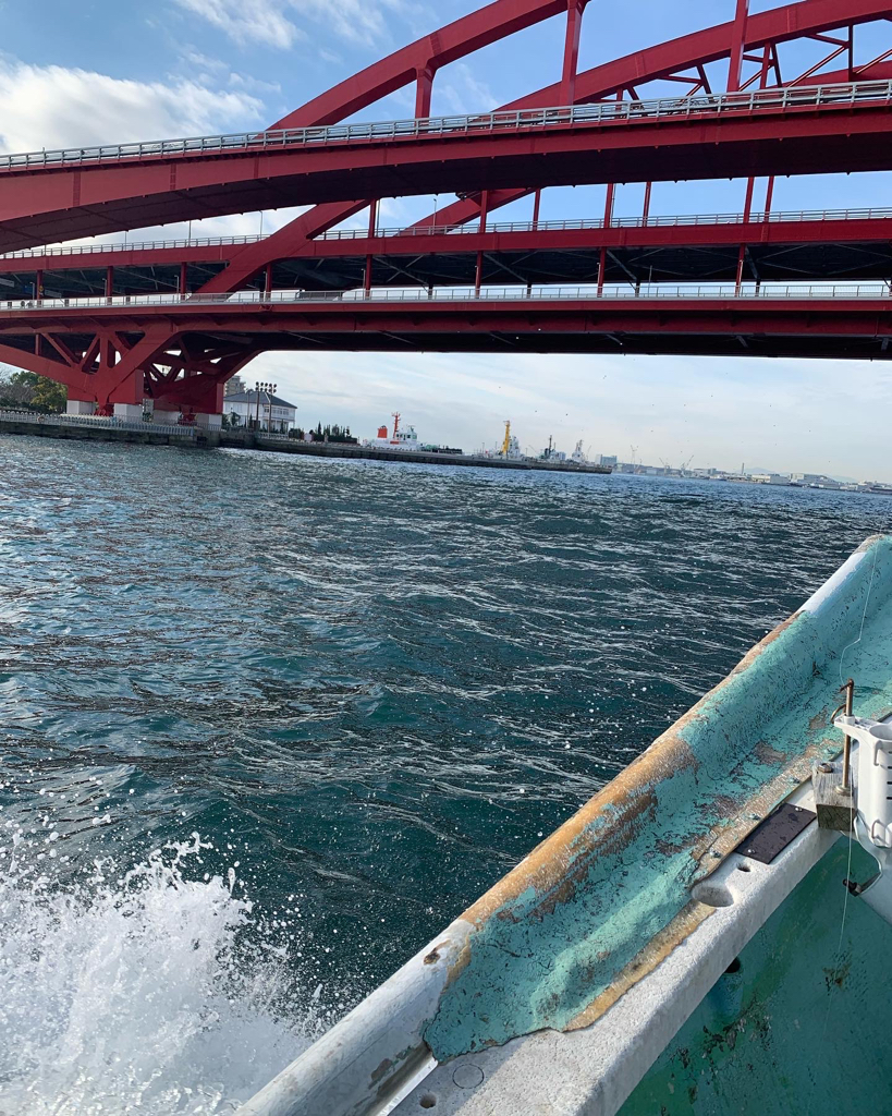 ガシラのち無限ベラ