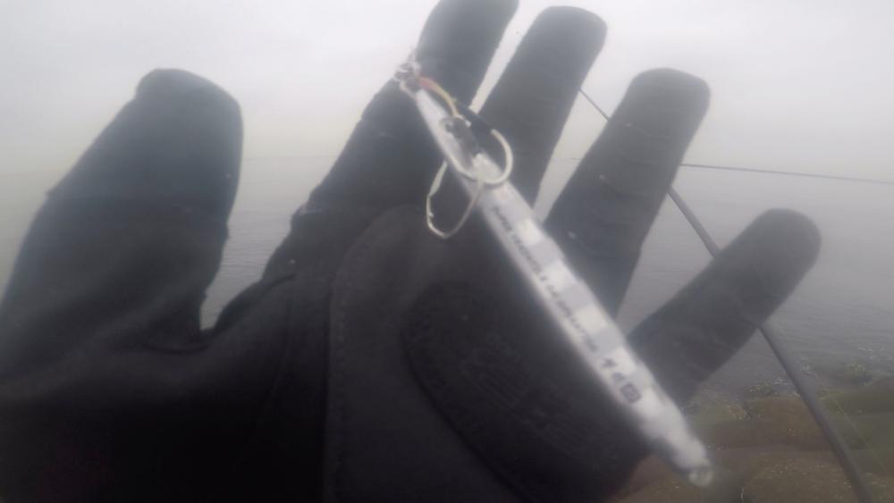 メジロ!2022ライトゲーム第46戦