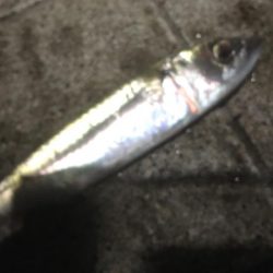 結び直しが仇となり‥