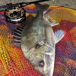 ヘチってきました