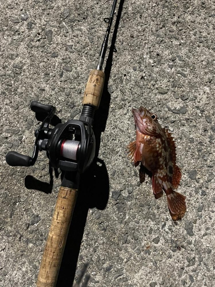 深夜に2022年釣り納め行ってきました