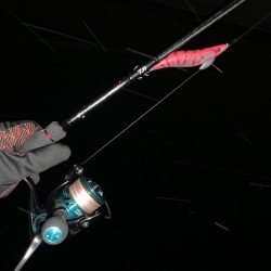 キロアップのイカキタァァ！と思ったらキロ越えマダコ笑