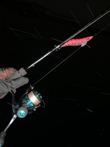 キロアップのイカキタァァ！と思ったらキロ越えマダコ笑