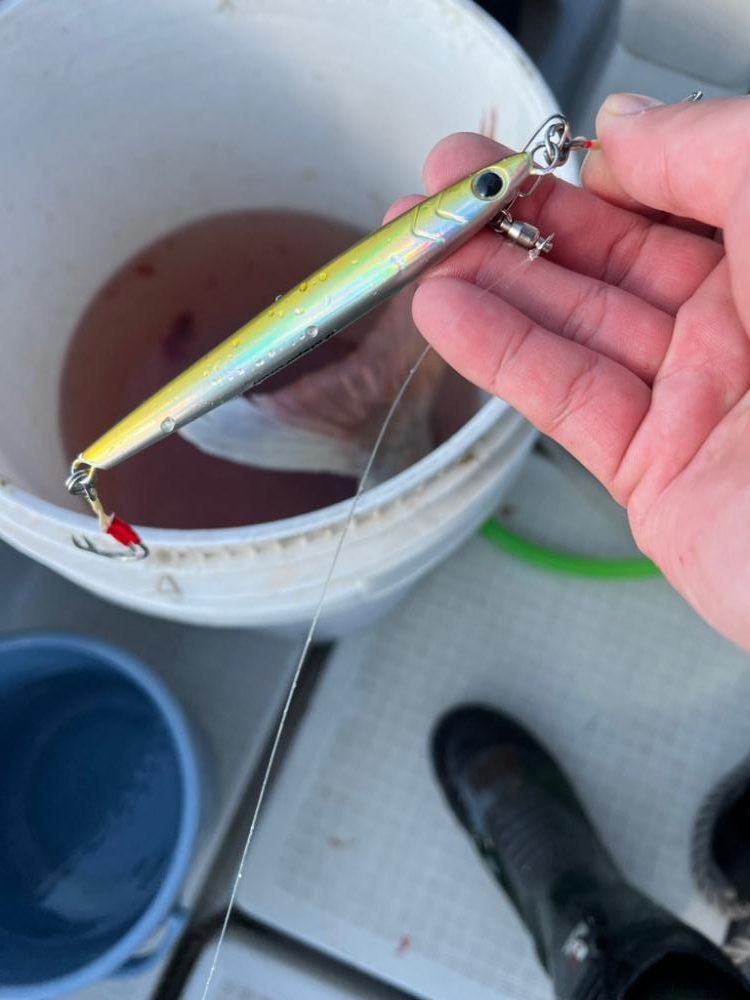 コレ横綱が持つやつ!!