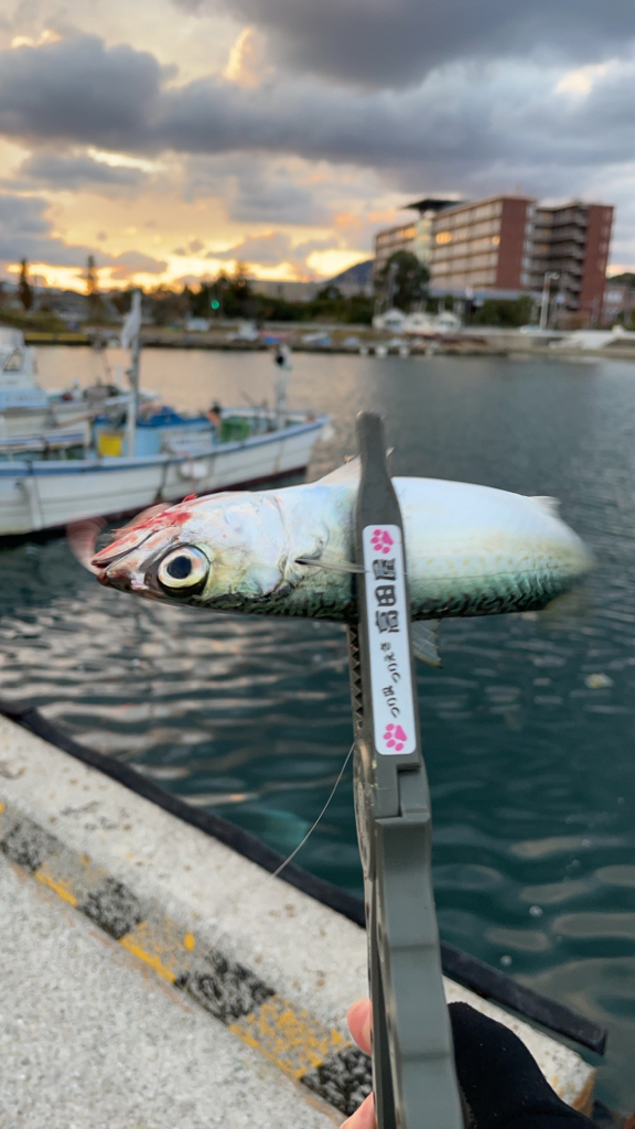 北風ピューピュー