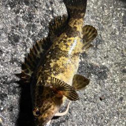 四日市ライトゲームで5目