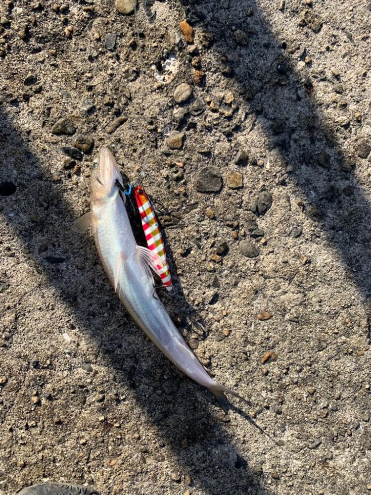 極限爆風漢気エソ