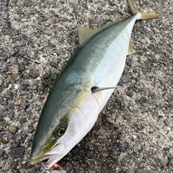 ラストスパート？