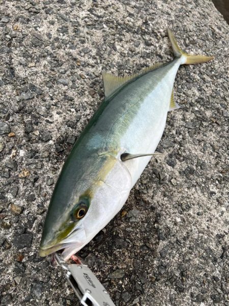 ラストスパート？