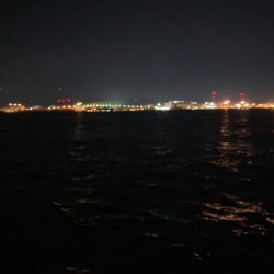 サゴシ君ゲット　