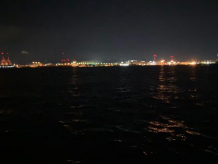 サゴシ君ゲット　