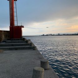 近場で良型グレ