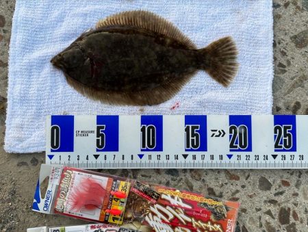 2022年 釣り納め カレイ投げ釣り