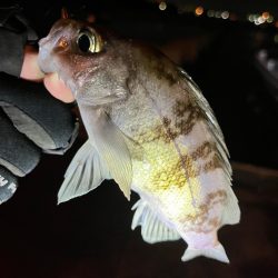 休みの日の恒例行儀w