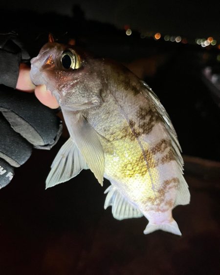 休みの日の恒例行儀w