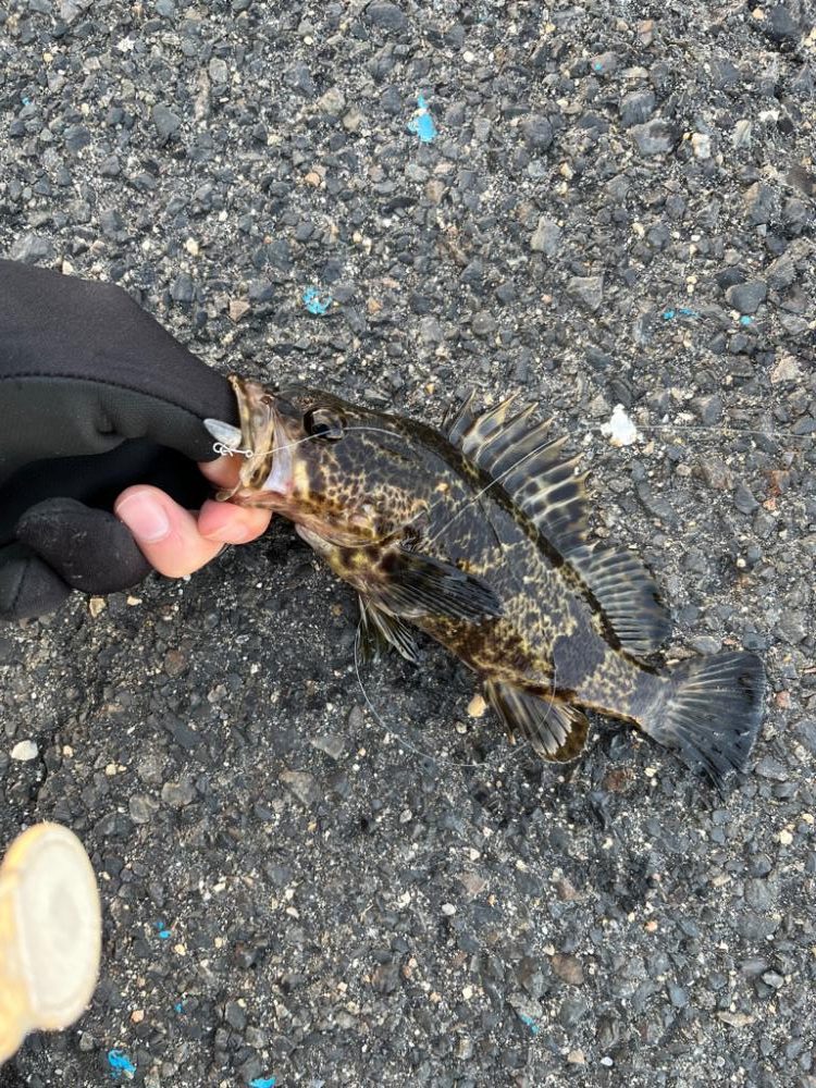 四日市ライトゲーム