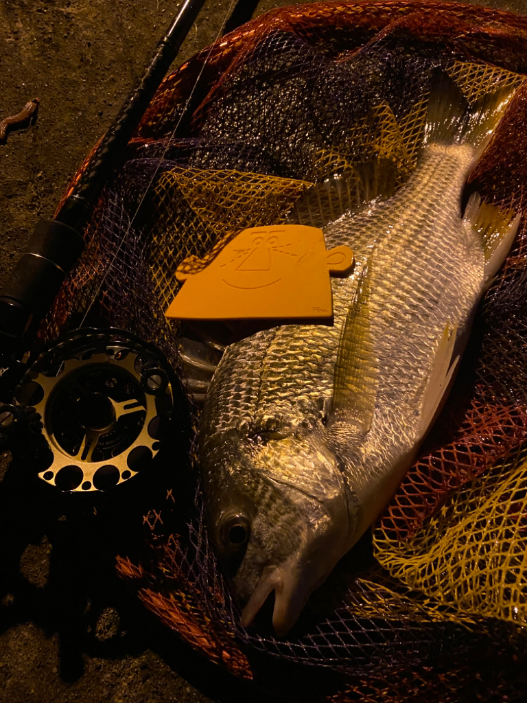 ヘチってきました