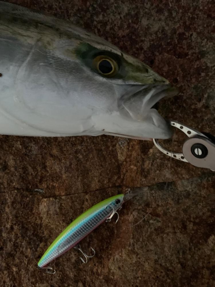 そろそろ、終盤戦!